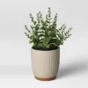 Textured Ceramic Planter Pots White - Opalhouse™ -Opalhouse designed with Jungalow Shop GUEST 81b3ab19 db4f 409c 9397 ff90f528d623